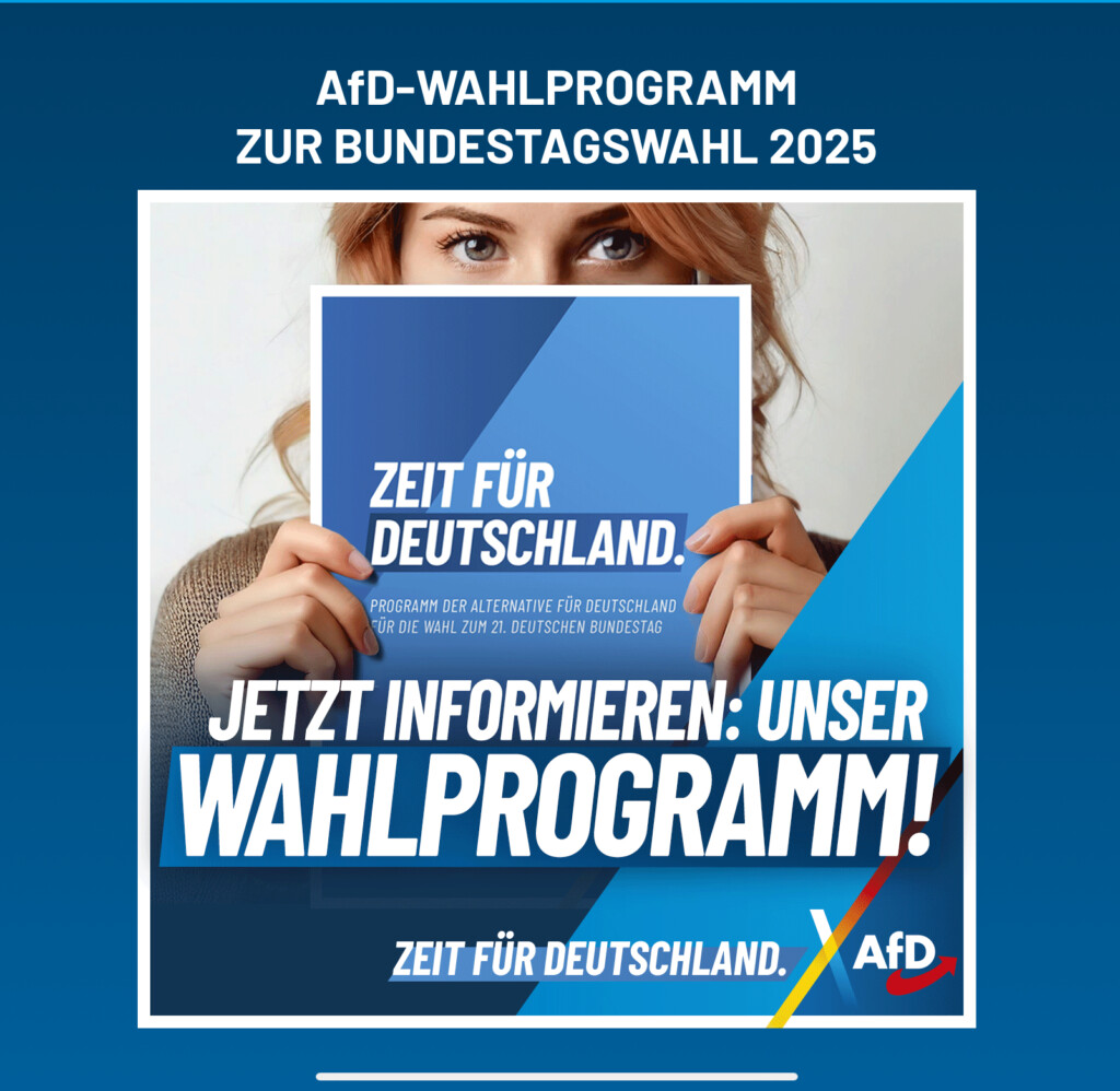 AfD Bundestagswahlprogramm 2025